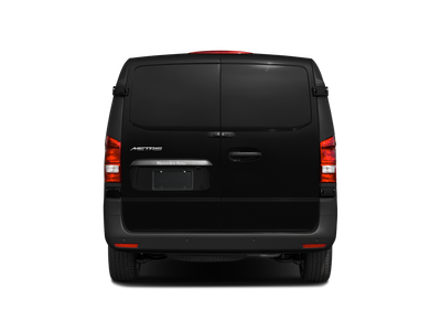 2019 Mercedes-Benz Metris Cargo Van 135 WB Cargo