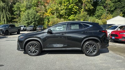 2024 Lexus NX NX 350