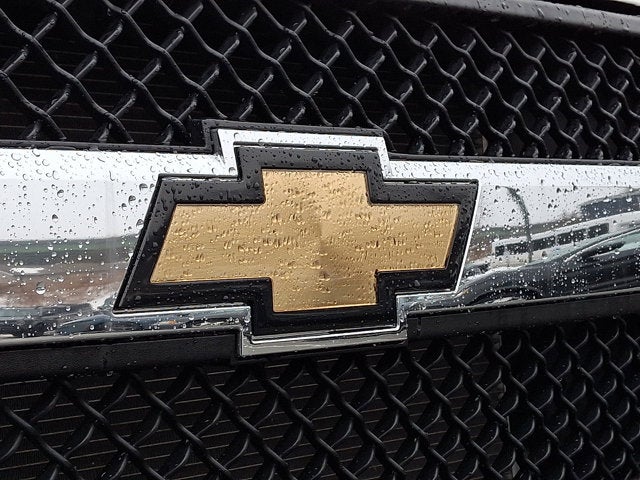 2024 Chevrolet Express Cargo Van RWD 2500 Regular Wheelbase WT