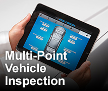 MULTI-POINT INSPECTION
